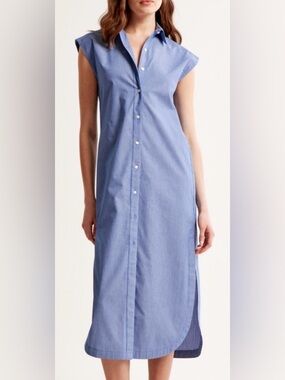 Abercrombie & Fitch Sleeveless Blue-Striped Button-Front Shirt Dress